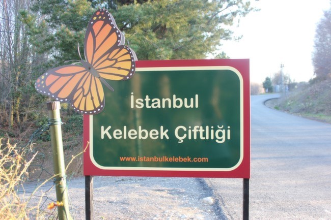 İstanbul'da Çocuklar İçin Aktiviteler Kelebek Çiftliği