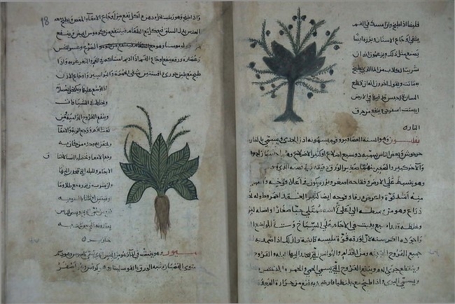 Süleymaniye-Kütüphanesi-El-Yazması