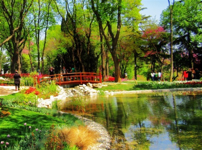 İstanbul'da En İyi 10 Şehir Parkı Emirgan Korusu