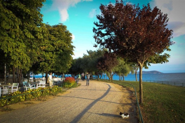 İstanbul'da En İyi 10 Şehir Parkı Fenerbahçe Parkı