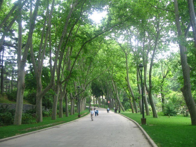İstanbul'da En İyi 10 Şehir Parkı Gülhane Parkı